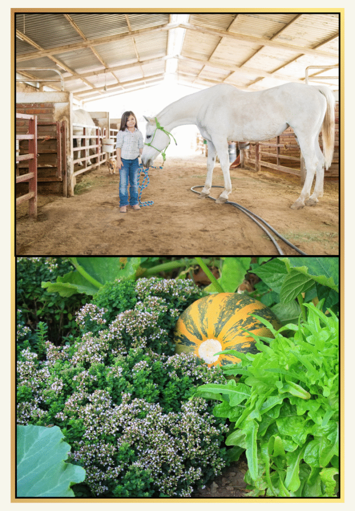 La campagne : terre d’opportunités pour de nouvelles vocations