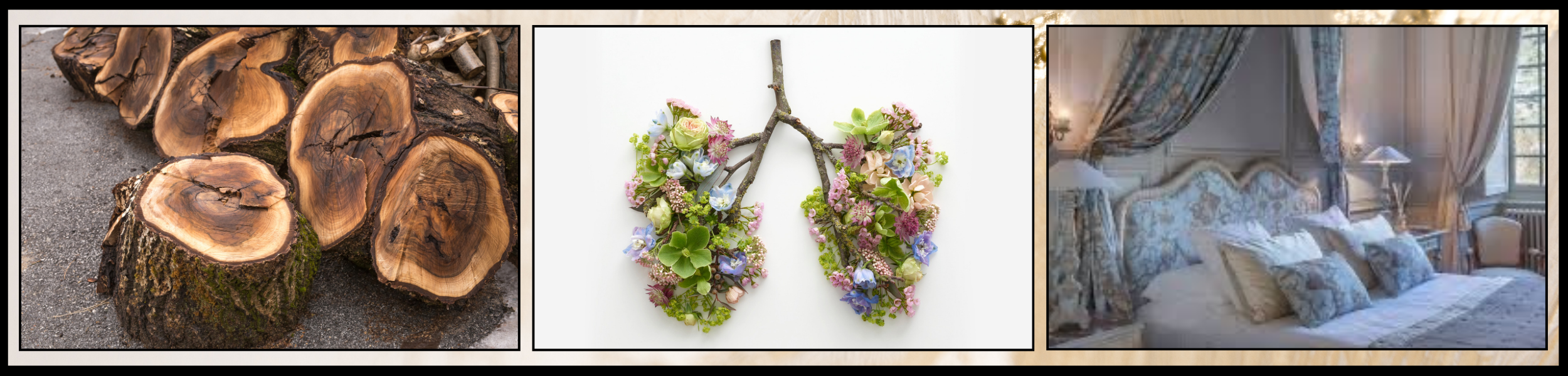 Meubles et qualité de l'air intérieur: votre santé en jeu